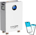 LiFePO4 accu 48 V 320 Ah 16,384 kWh stroomopslag en vermogensschakelaars 200 A BMS RS485/CAN/RS232 met Bluetooth WLAN voor noodstroomvoorziening thuis netonafhankelijke zonne-installaties