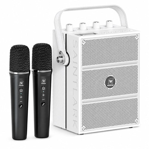 100W Powerful Voice Amplifier with 2 Wireless Microphones S99